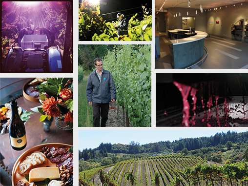 collage of 7 photos from the vineyard, winery and tasting room