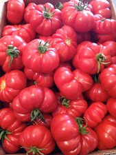 Tomato Sauce for the Eggplant Parmigiana