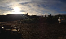 Greenwood Ridge