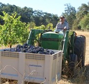 John Upton on the tractor