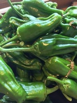 Cartograph Wines Blog Photo Of The Day Oct 24 15