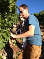 alan and deb picking in the vineyard