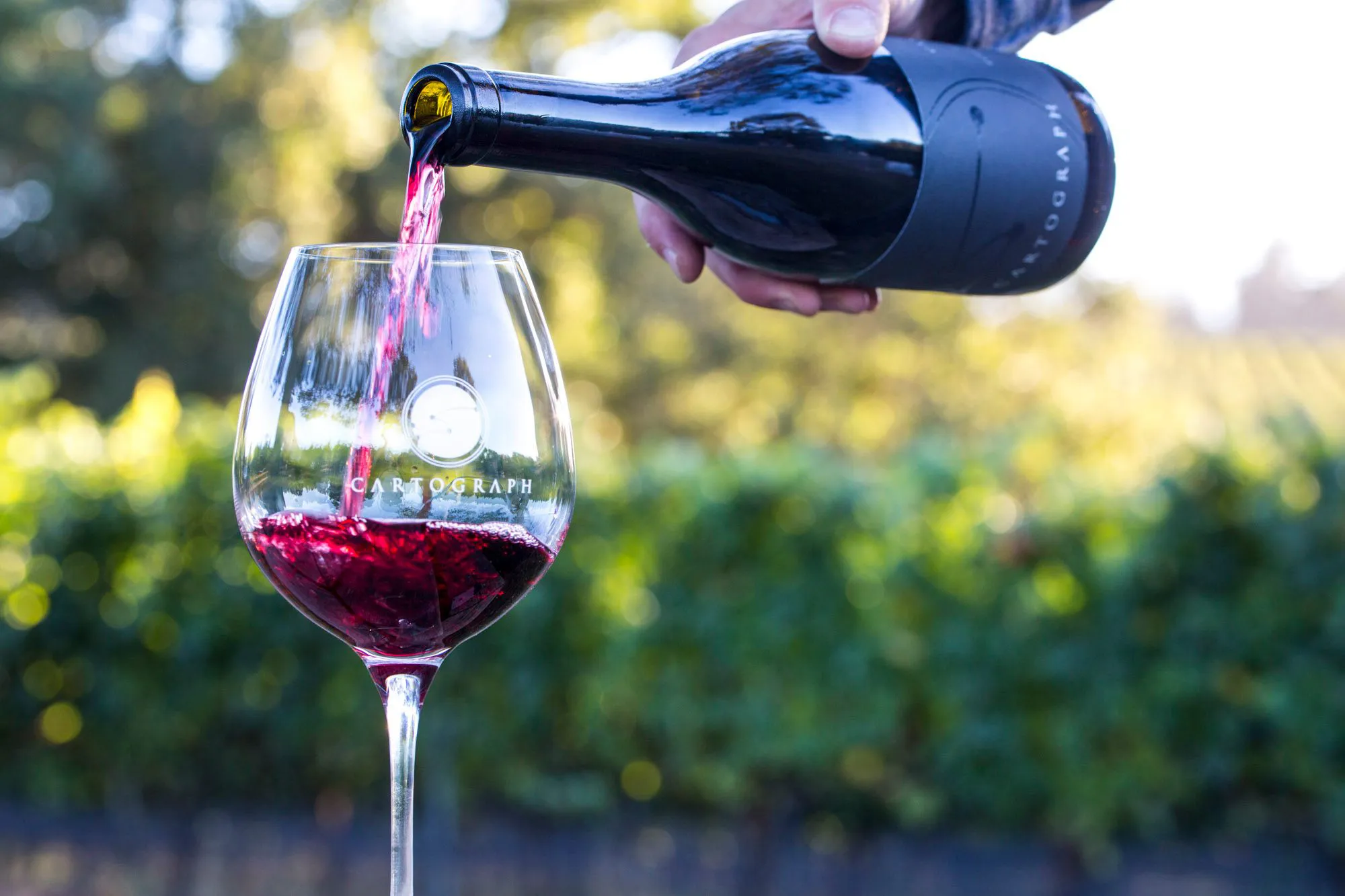 Cartograph Cabernet Franc