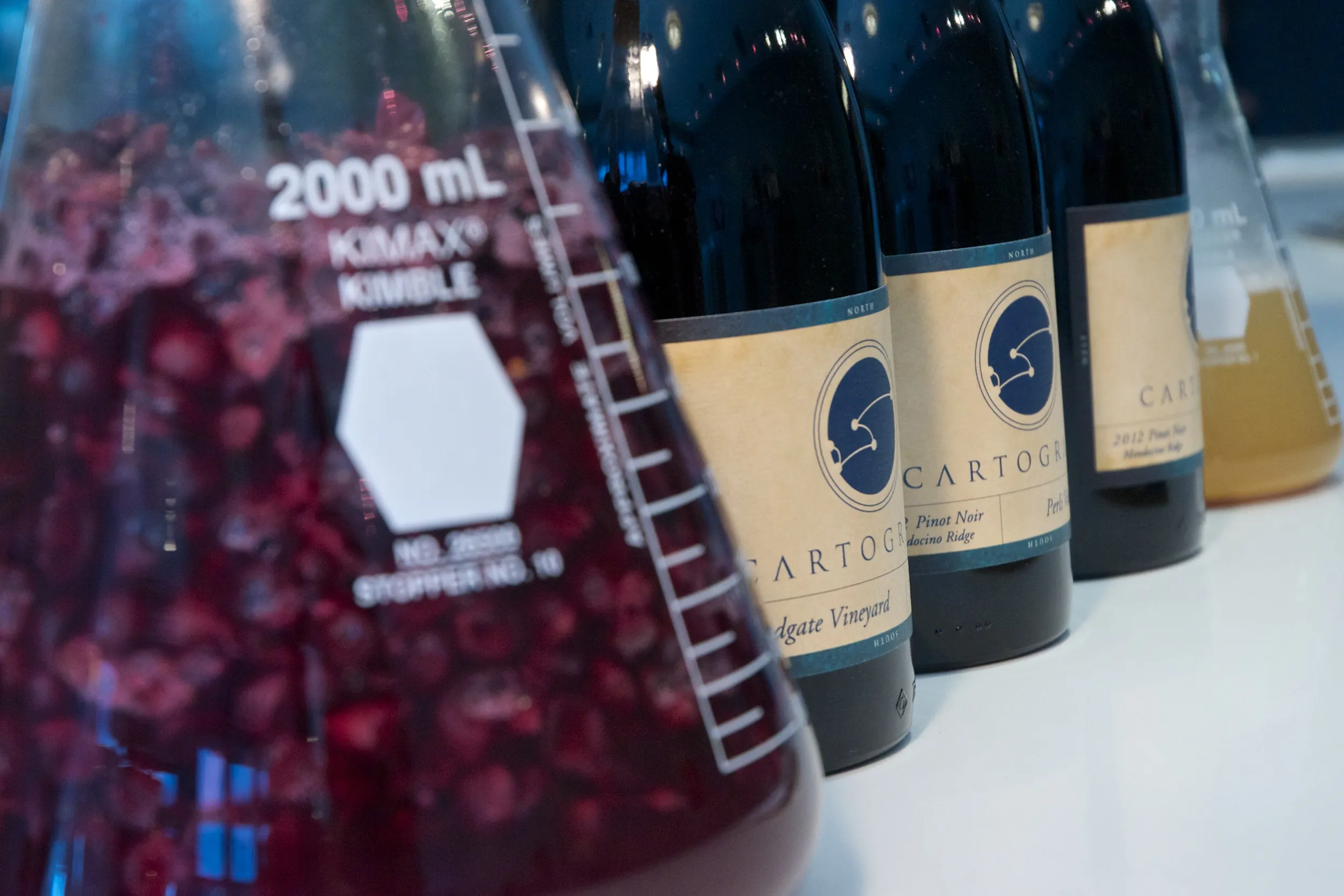 Harvest Tastings