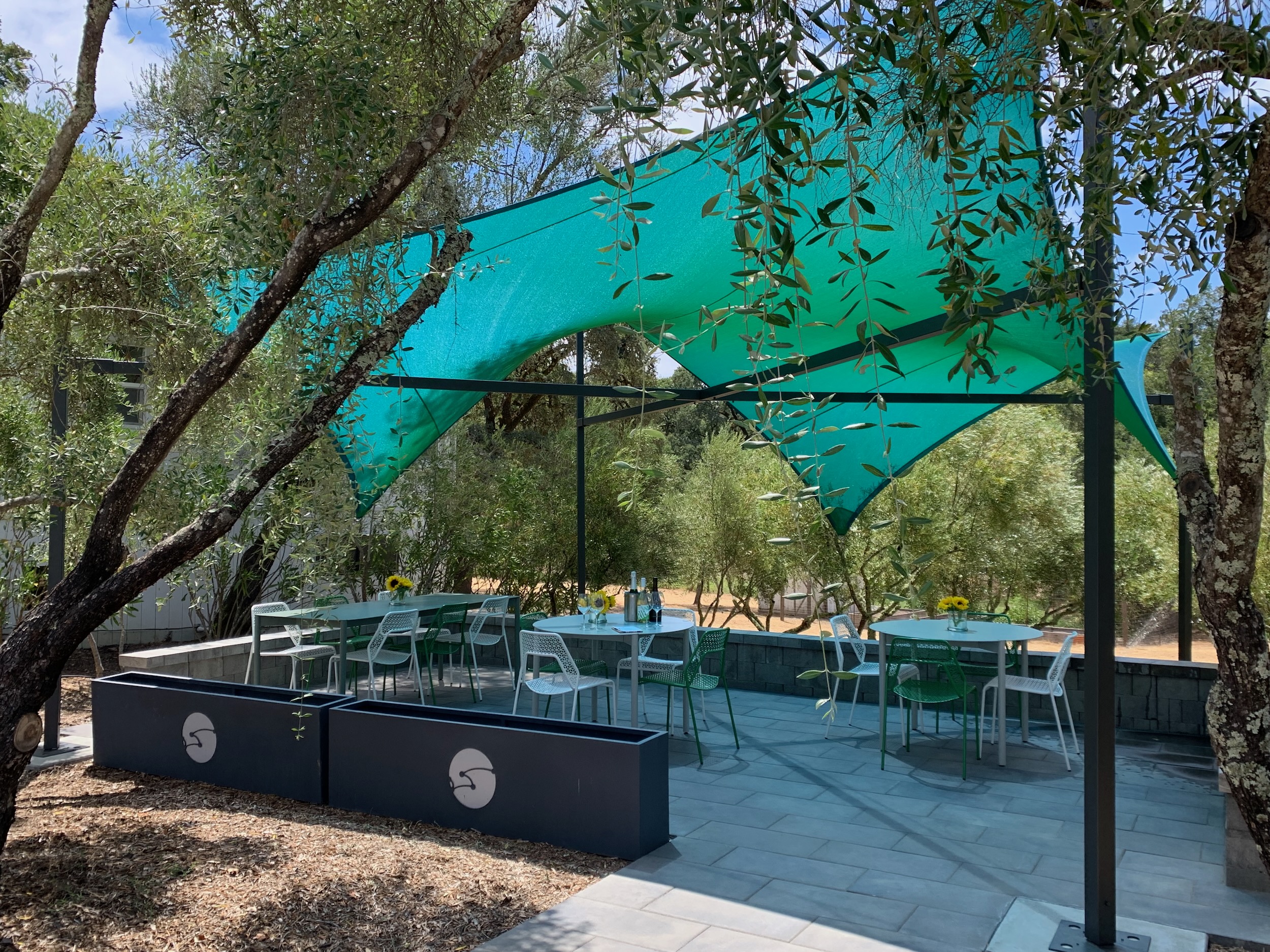 olive patio for wine tasting